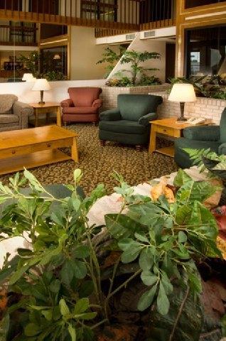 Pear Tree Inn Макаллен Интерьер фото